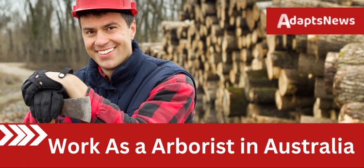 Apply now to work as an arborist in Australia!