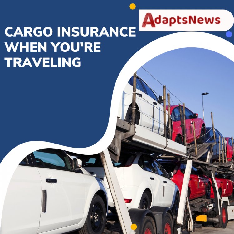 How To Shop for Cargo Insurance When You're Traveling