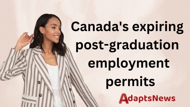 Canada's expiring post-graduation employment permits: Help for International Students