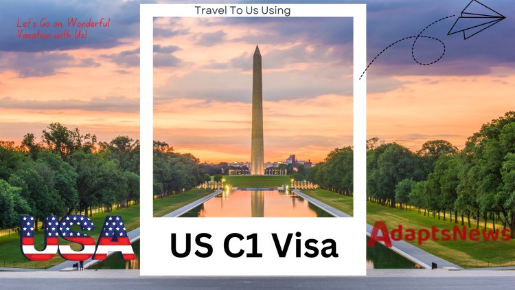 How to Apply for a US C1 Visa - explained in detail