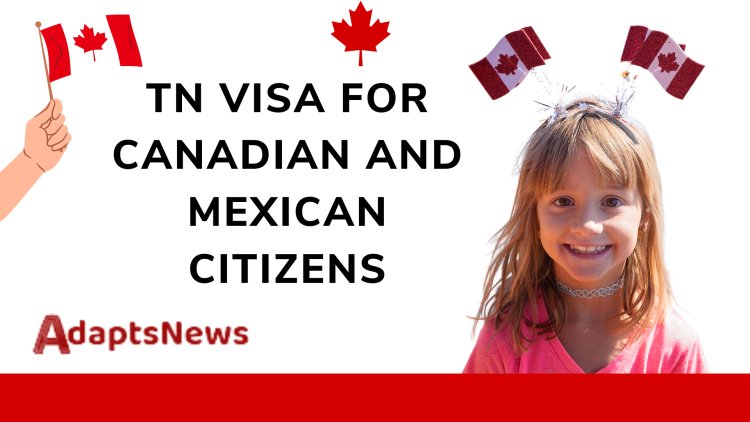 TN Visa Eligibility, Extension & Requirements For Canadian and Mexican Citizens