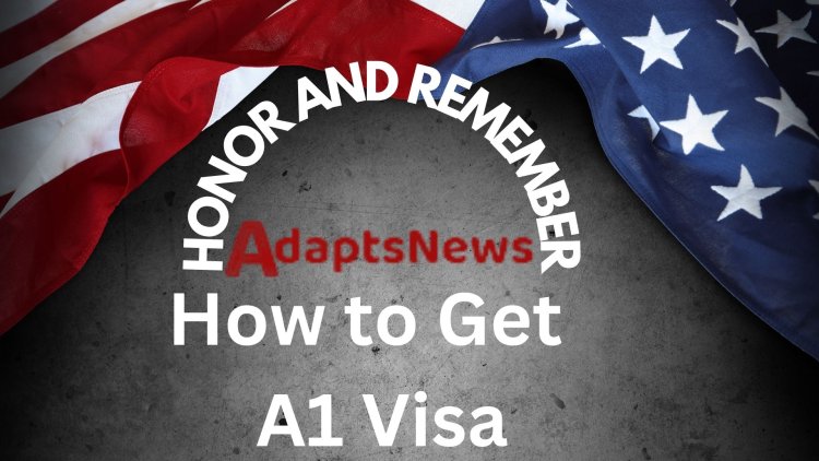 How to Get  A1 Visa: Everything You Need to Know