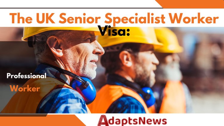 The UK Senior Specialist Worker Visa: Navigating the Path to Professional Excellence